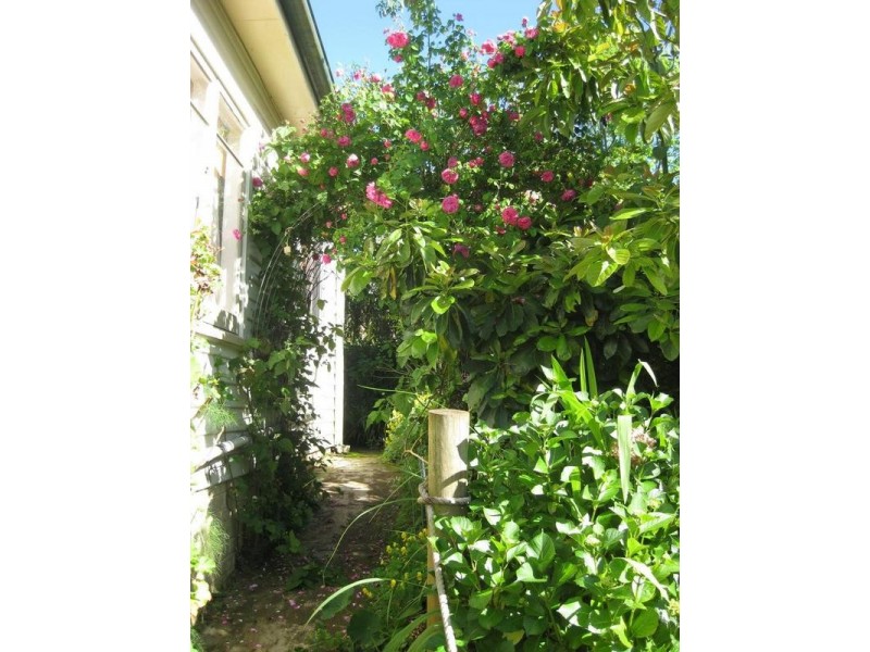 15-17 Union Street, Scottsdale TAS 7260