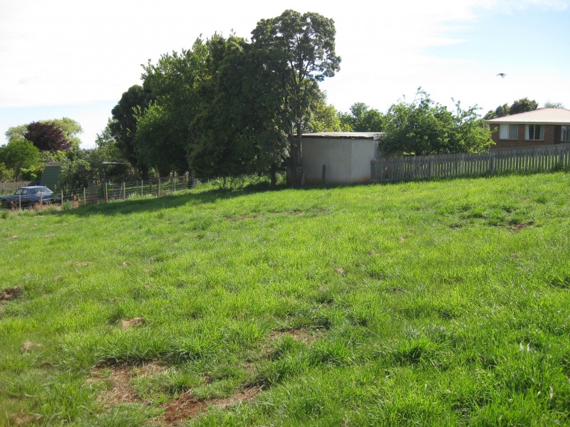 108 George Street, Scottsdale TAS 7260