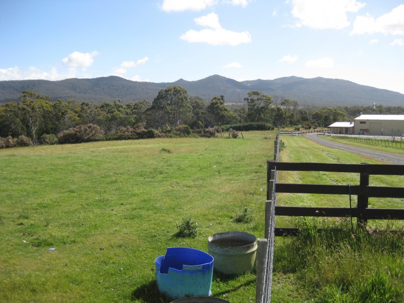 55 Chaffey Street, Gladstone TAS 7264