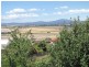 6 Clarke Street, Bridport TAS 7262