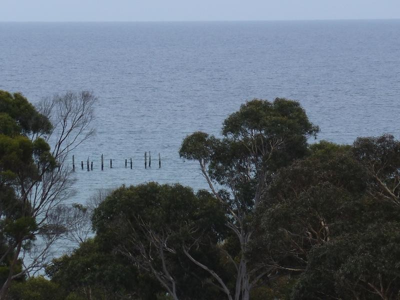 29 Westwood Street, Bridport TAS 7262