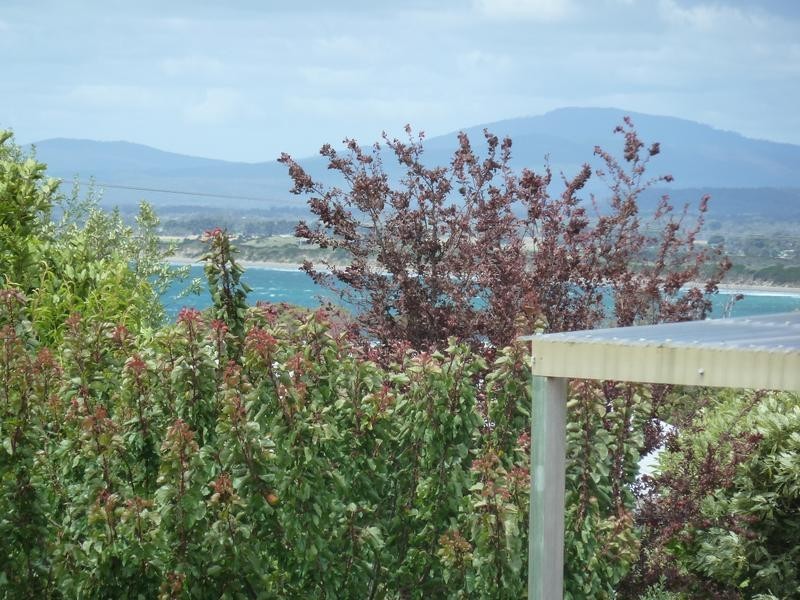 12 Richard Street, Bridport TAS 7262