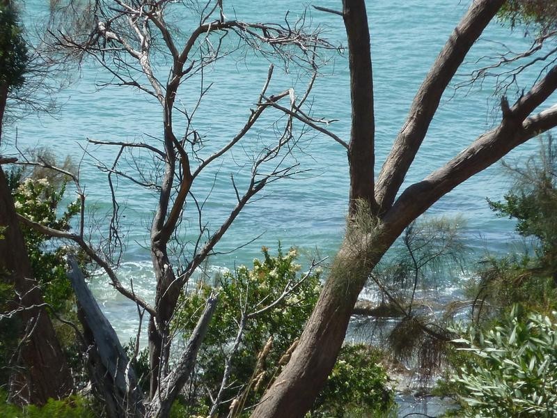 124a Westwood Street, Bridport TAS 7262