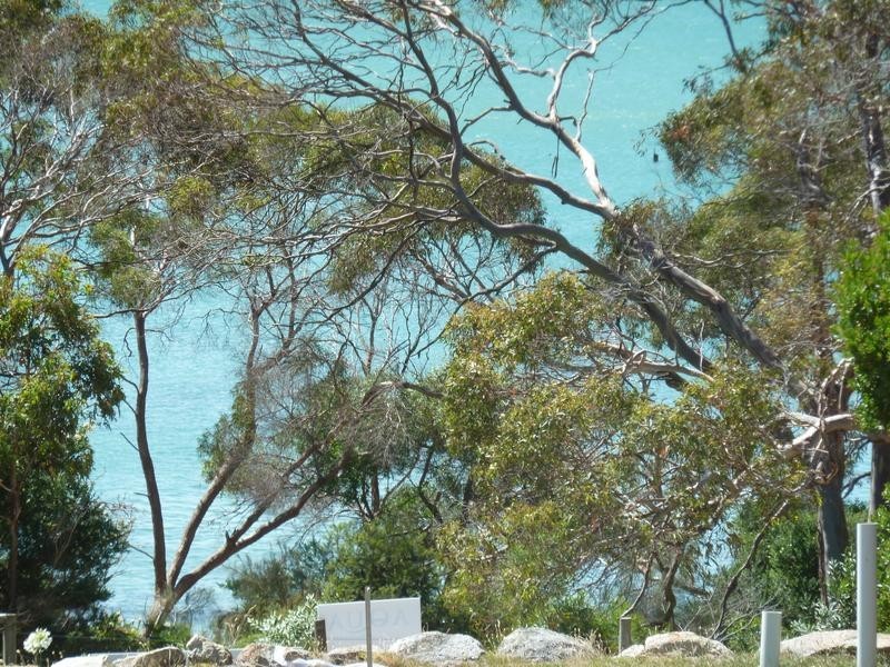 124a Westwood Street, Bridport TAS 7262