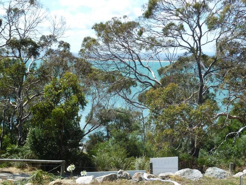 124a Westwood Street, Bridport TAS 7262