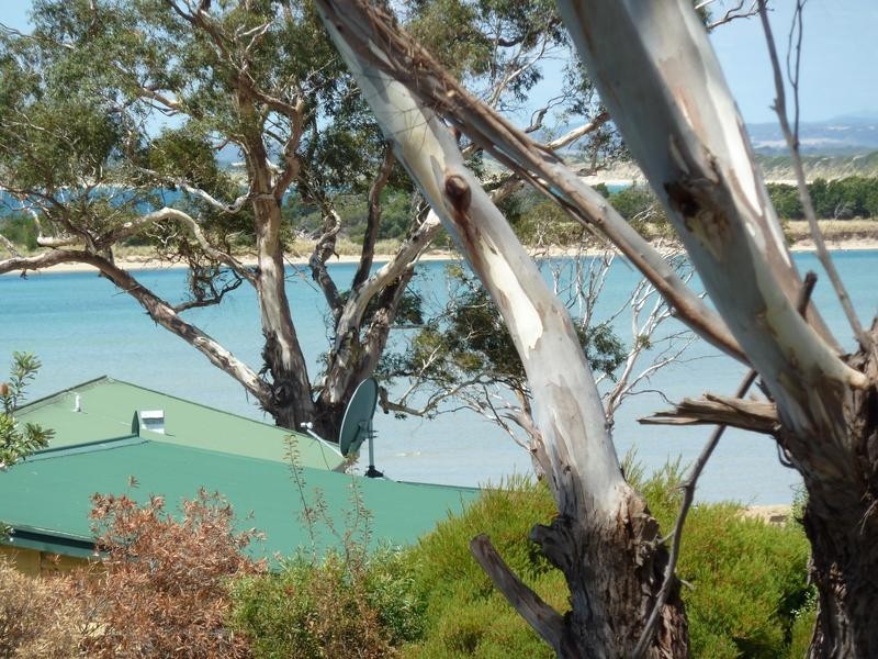 14 Elizabeth Street, Bridport TAS 7262