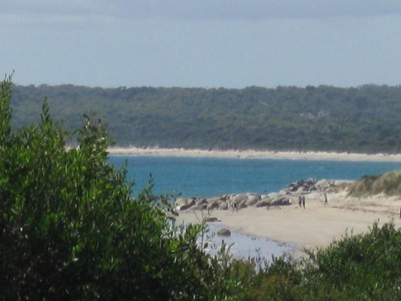 1 Carins Close, Tomahawk TAS 7262