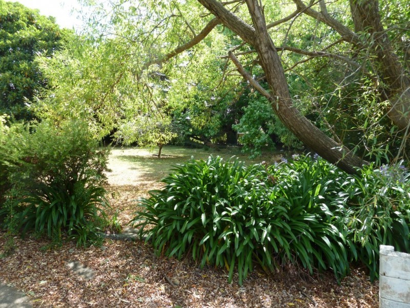 75 Main Street, Bridport TAS 7262