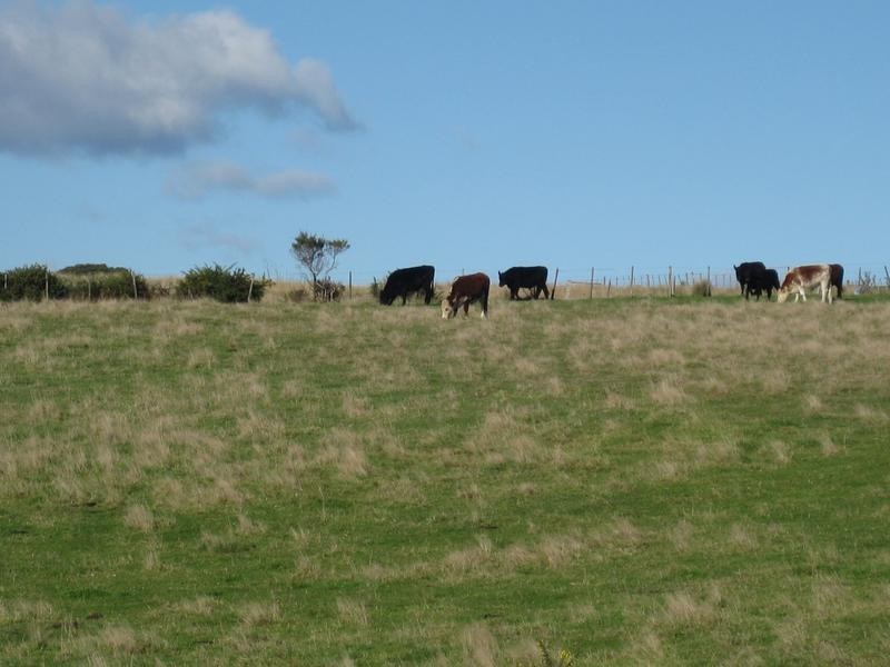 18A Carr Street, Gladstone TAS 7264