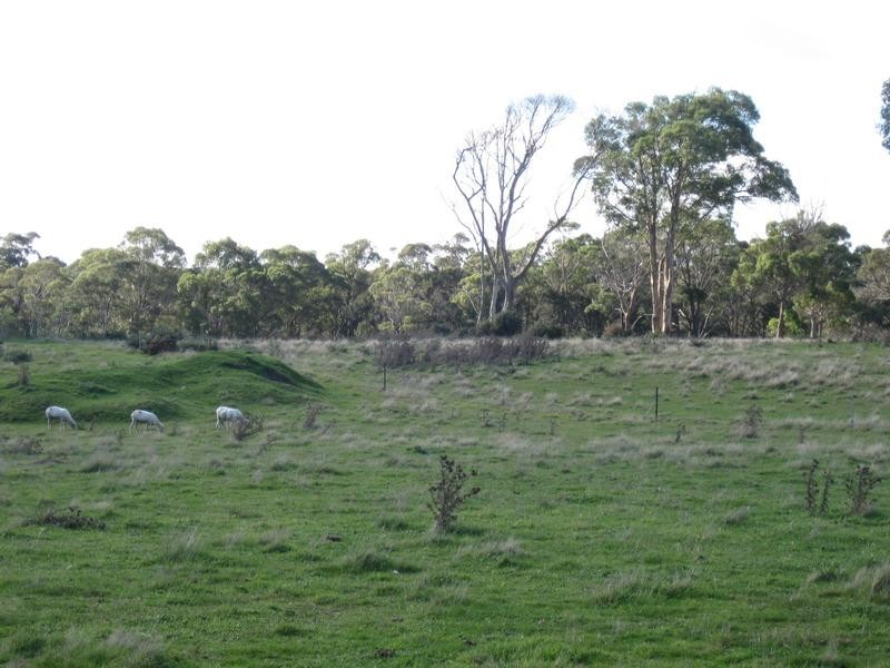 18A Carr Street, Gladstone TAS 7264