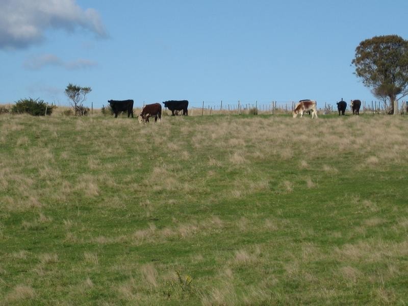 18A Carr Street, Gladstone TAS 7264