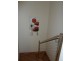 103 Westwood Street, Bridport TAS 7262