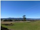 33317 Tasman Highway, Legerwood TAS 7263