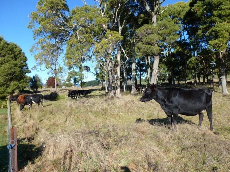 33317 Tasman Highway, Legerwood TAS 7263