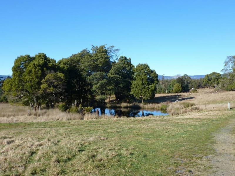 33317 Tasman Highway, Legerwood TAS 7263