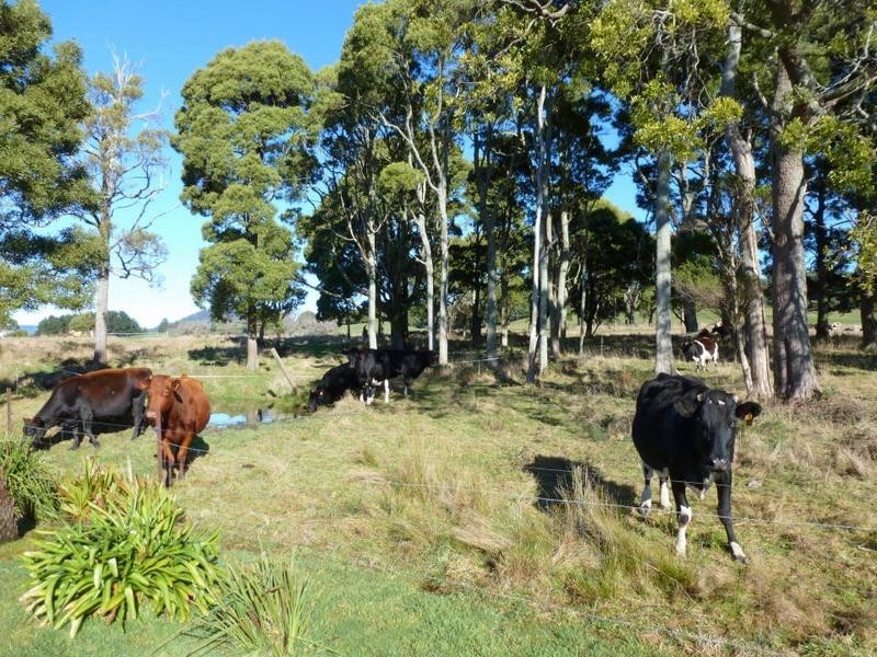 33317 Tasman Highway, Legerwood TAS 7263