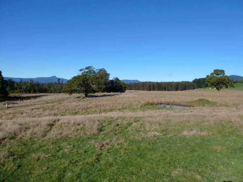 33317 Tasman Highway, Legerwood TAS 7263