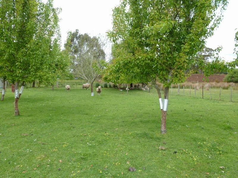 30 Rainbow Road, Herrick TAS 7264