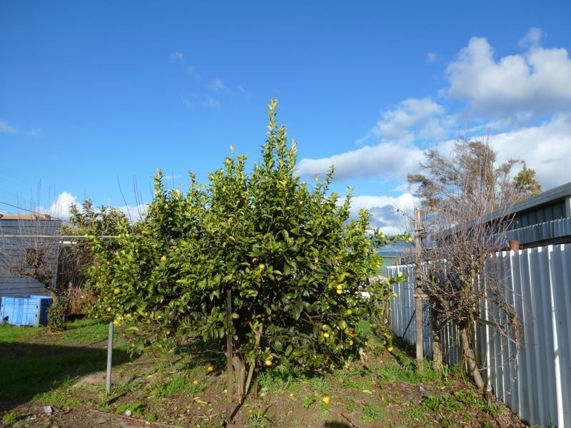 6 Hedley Street, Scottsdale TAS 7260