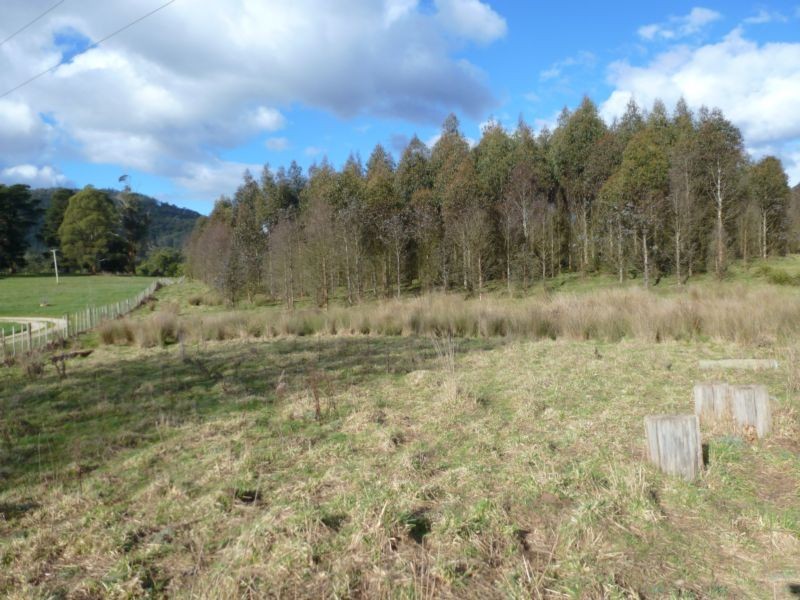 Corner Cuckoo Road & Tonganah Road, Cuckoo, Scottsdale TAS 7260