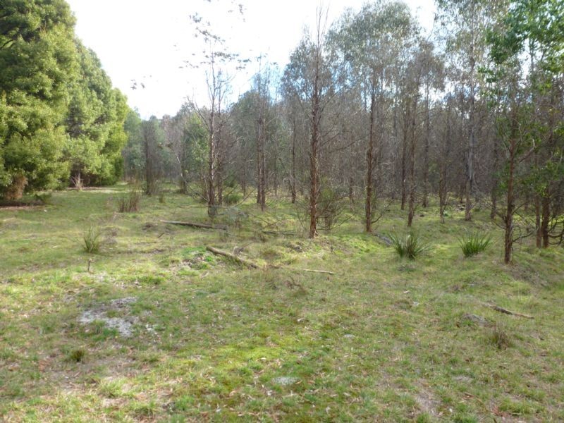 Corner Cuckoo Road & Tonganah Road, Cuckoo, Scottsdale TAS 7260