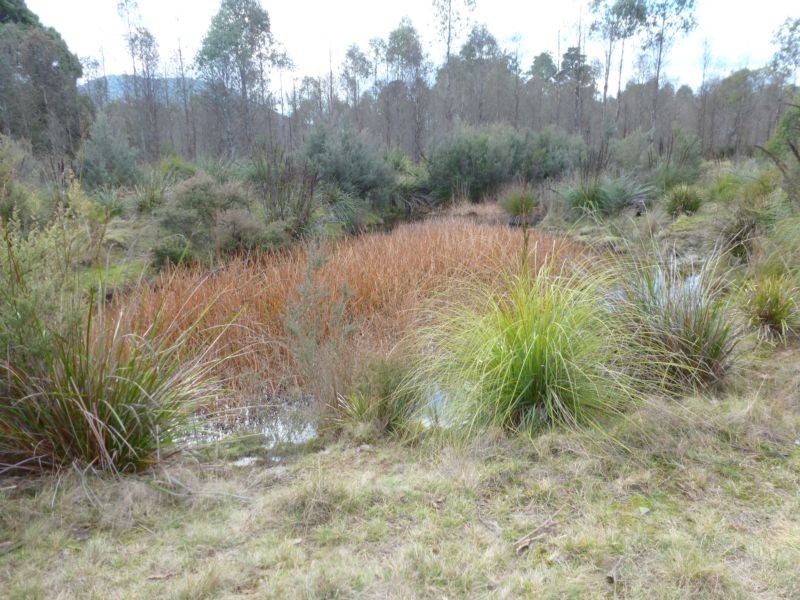 Corner Cuckoo Road & Tonganah Road, Cuckoo, Scottsdale TAS 7260