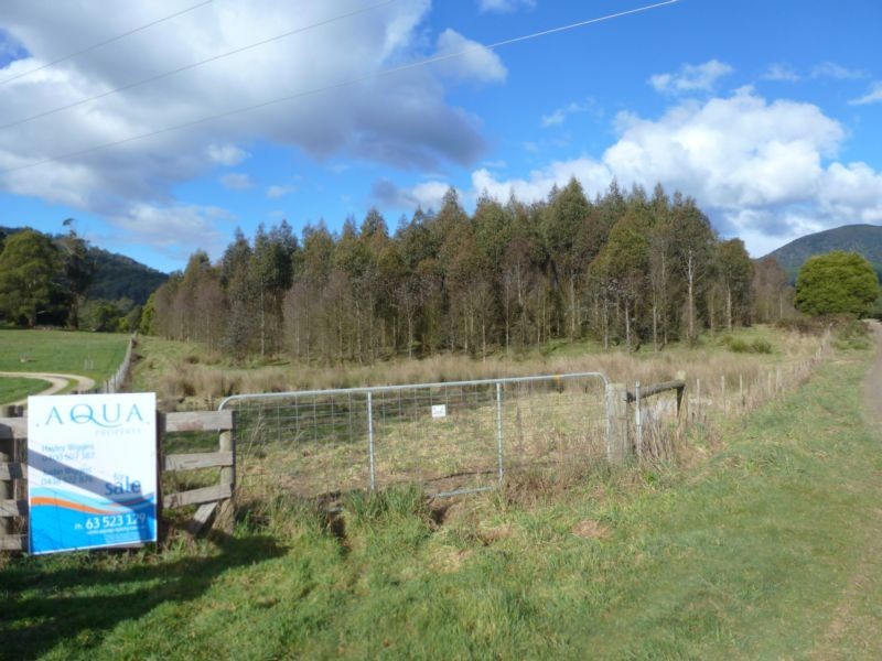 Corner Cuckoo Road & Tonganah Road, Cuckoo, Scottsdale TAS 7260