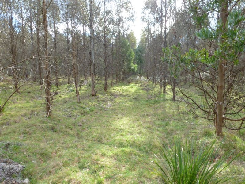 Corner Cuckoo Road & Tonganah Road, Cuckoo, Scottsdale TAS 7260