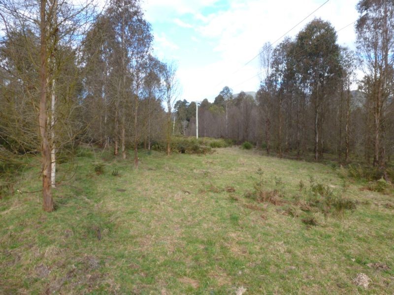 Corner Cuckoo Road & Tonganah Road, Cuckoo, Scottsdale TAS 7260