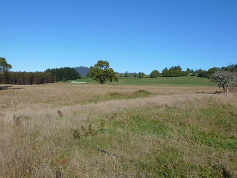 Tasman Highway, Legerwood TAS 7263
