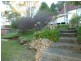 52 Main Street, Derby TAS 7264