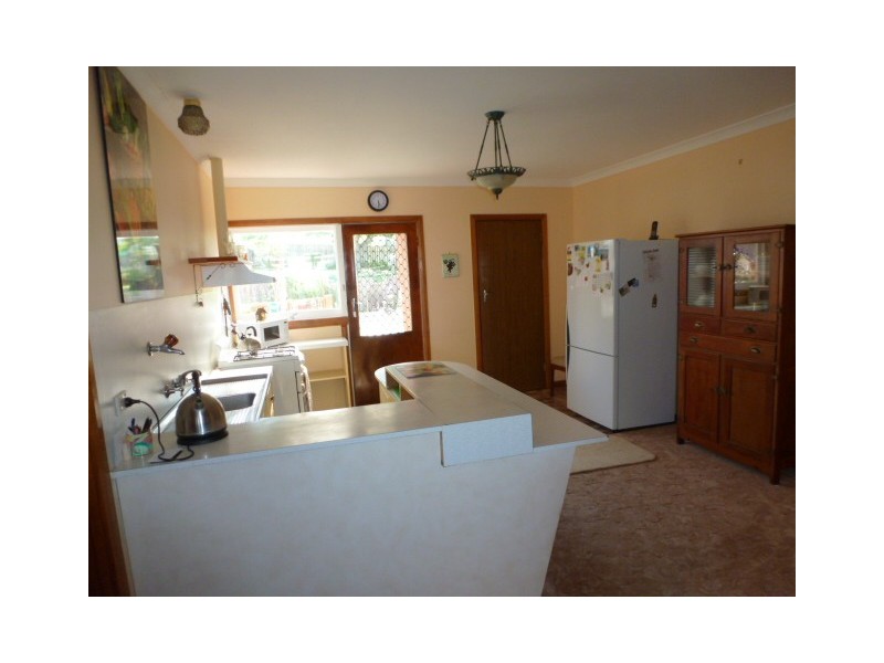 41 Westwood Street, Bridport TAS 7262