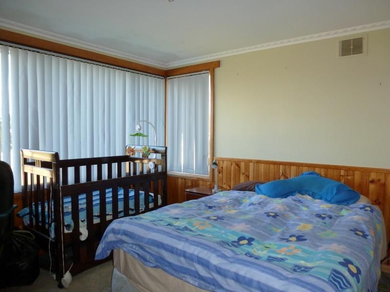 41 Winnaleah Road, Winnaleah TAS 7265