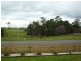 41 Winnaleah Road, Winnaleah TAS 7265