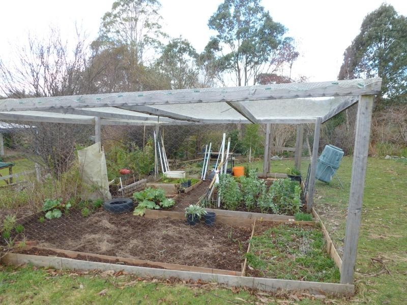 20 Pearce Street, Branxholm TAS 7261