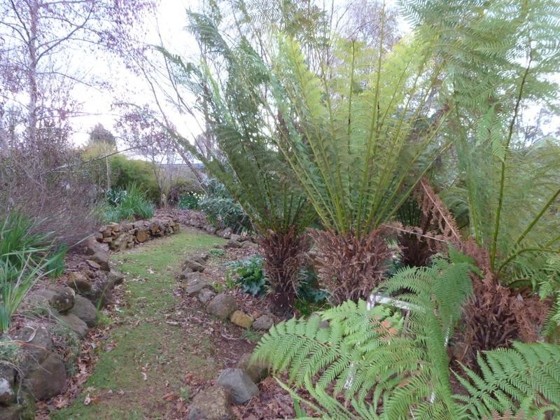 20 Pearce Street, Branxholm TAS 7261