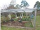 Pearce Street, Branxholm TAS 7261