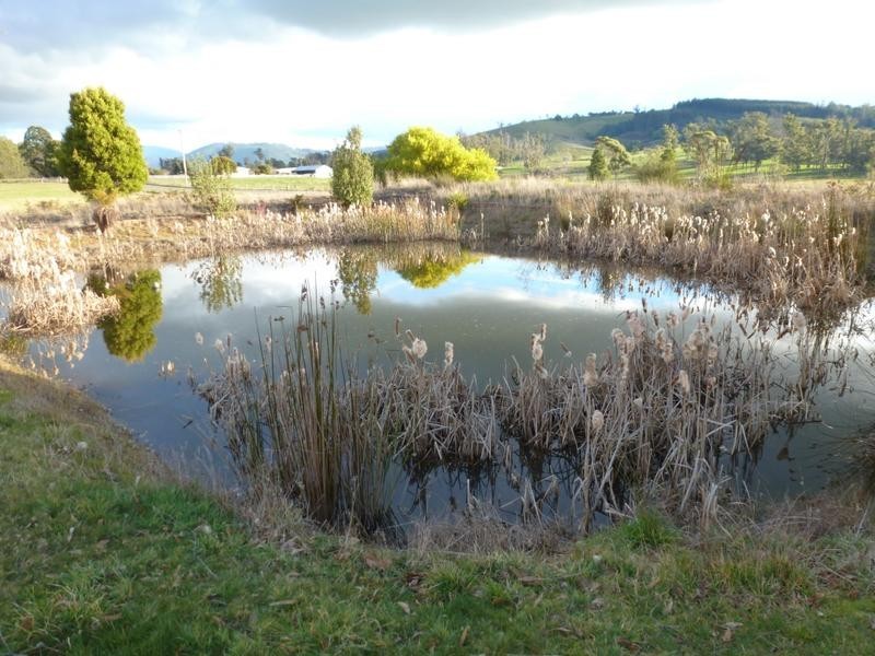 Ten Mile Track, Scottsdale TAS 7260