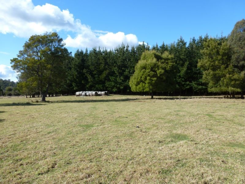 * Ten Mile Track, Scottsdale TAS 7260