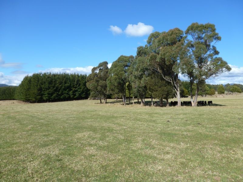 * Ten Mile Track, Scottsdale TAS 7260