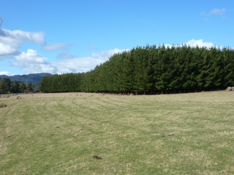 * Ten Mile Track, Scottsdale TAS 7260