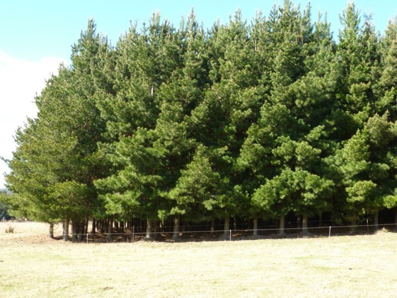 * Ten Mile Track, Scottsdale TAS 7260