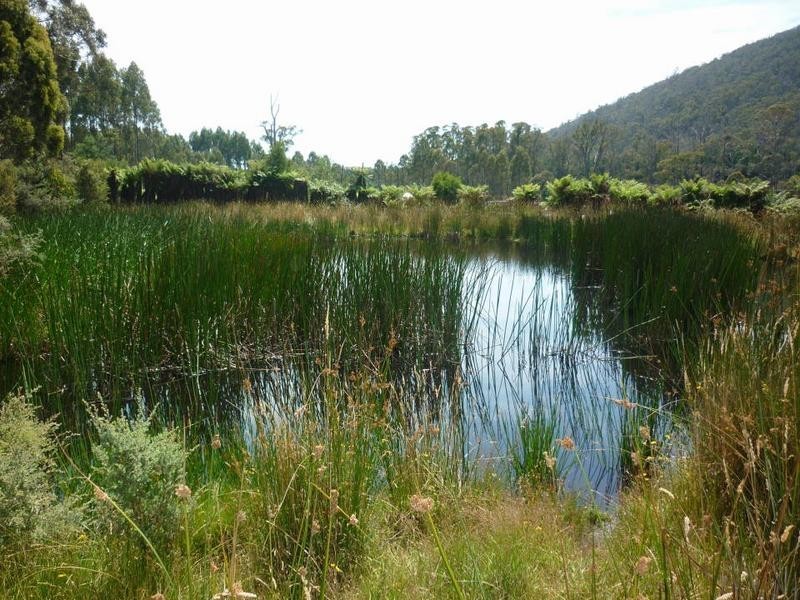 * Ten Mile Track, Scottsdale TAS 7260