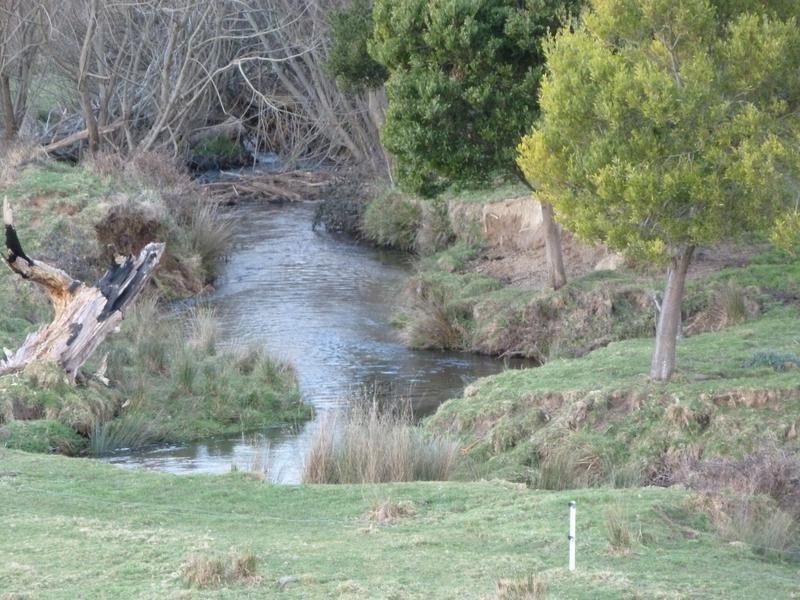 Lot 1,  Tasman Highway, Springfield, Scottsdale TAS 7260