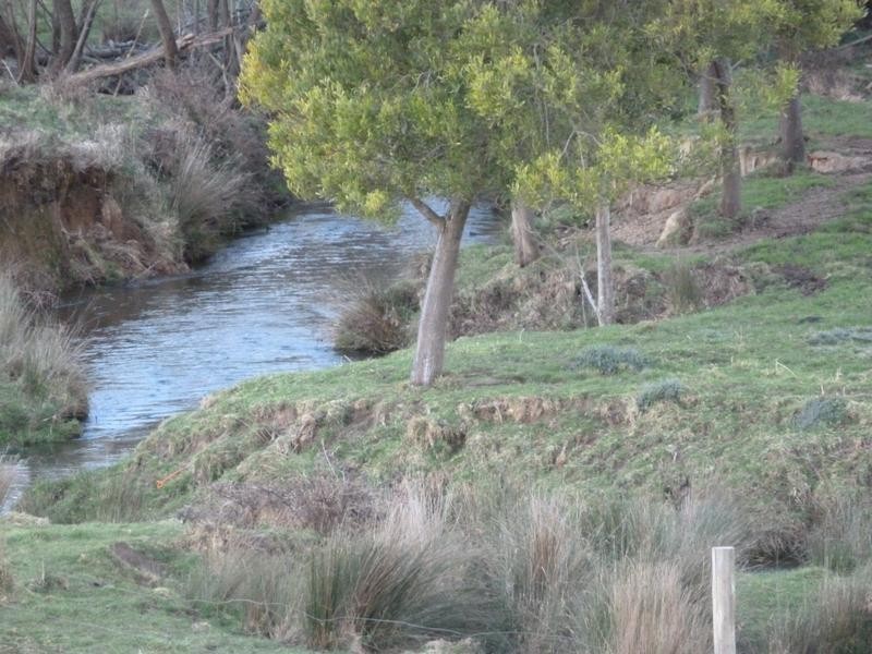 Lot 1,  Tasman Highway, Springfield, Scottsdale TAS 7260