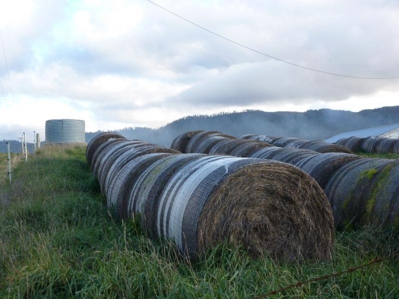 Lot 1,  Tasman Highway, Springfield, Scottsdale TAS 7260