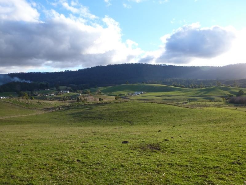 Lot 1,  Tasman Highway, Springfield, Scottsdale TAS 7260
