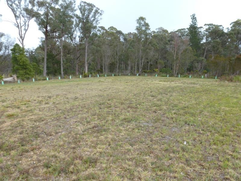 3491 Golconda Road, Scottsdale TAS 7260