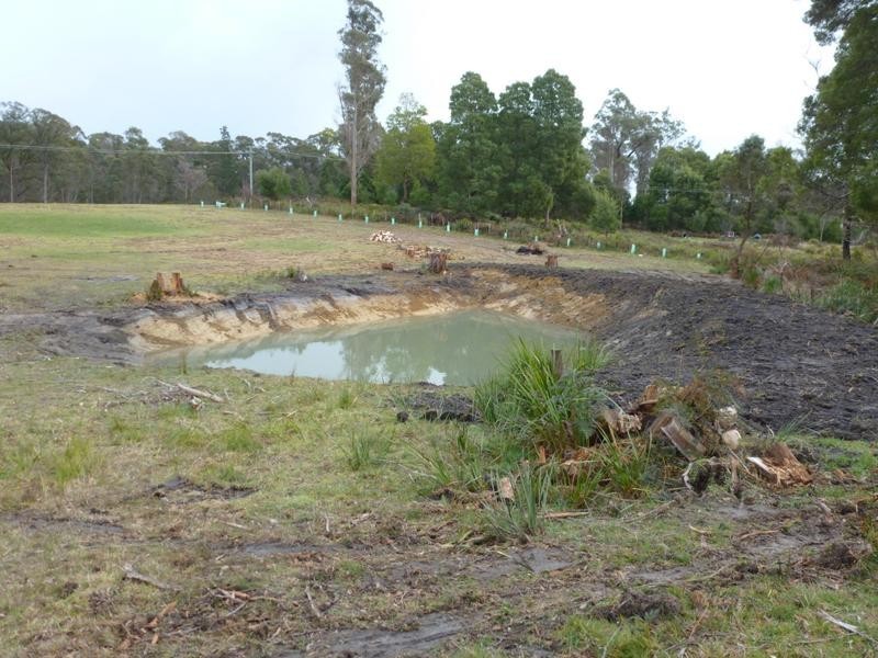 3491 Golconda Road, Scottsdale TAS 7260