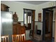 41 Winnaleah Road, Winnaleah TAS 7265